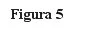 Black text on white background displaying the words Figure 5 in serif typeface