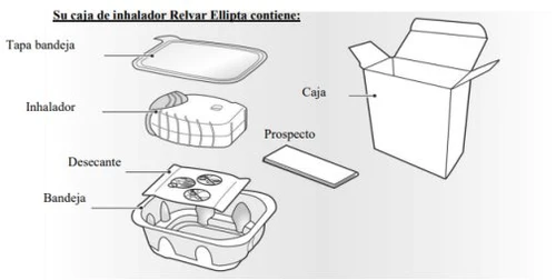 Illustrative diagram of the components of the Relvar Ellipta kit including cover, inhaler, instruction leaflet, tray and desiccant on a neutral background