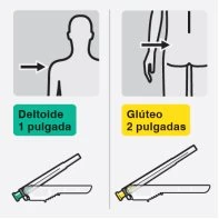 Diagramma medico che mostra l