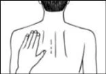 Disegno in bianco e nero che mostra la schiena di una persona con una mano appoggiata sulla parte superiore sinistra della colonna vertebrale