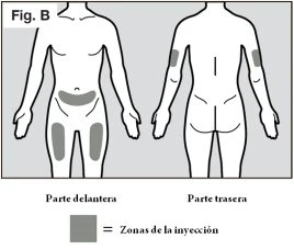 Schema del corpo umano che mostra la parte anteriore e posteriore con aree grigie che indicano le zone di iniezione su cosce e braccia