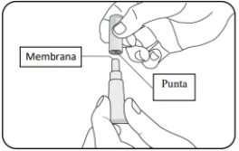 Technical drawing showing two hands separating a medical device with labels indicating the membrane and the tip of the component