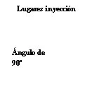 Black text on white background stating 'Lugares inyección' and below it 'Ángulo de 90°'