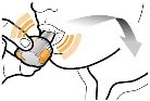 Disegno tecnico che mostra una mano che preme un dispositivo medico sulla pelle con una freccia curva che indica il movimento verso il basso