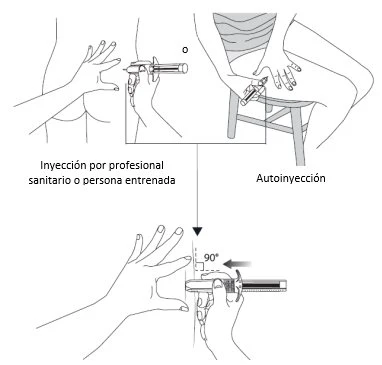 Disegno tecnico che mostra due modalità di iniezione: una eseguita da un professionista sul gluteo e l'altra di autoiniezione su coscia