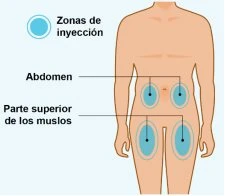 Human body diagram indicating injection sites on the thigh and abdomen