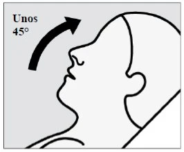 Profilo di una testa umana rivolta verso sinistra