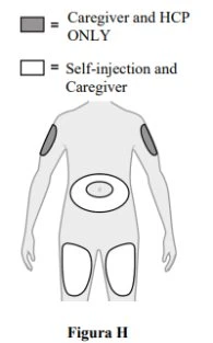 Diagram with human body showing gray areas for caregiver and healthcare professionals and white areas for self-injection and caregiver on arms, abdomen, and thighs