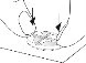 Medical diagram showing with black arrows the correct position for