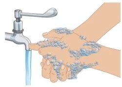 Due mani con schiuma di sapone che si lavano sotto un getto d'acqua