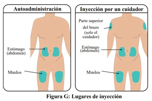 Diagramma medico con due figure umane che indicano i siti di iniezione per auto-somministrazione su addome e cosce e per caregiver su braccio, addome e cosce