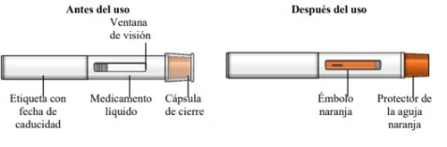 Diagramma medico che mostra una siringa prima dell'iniezione