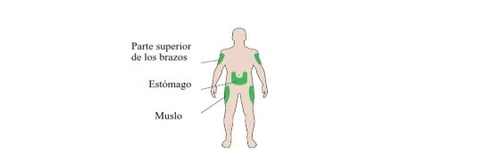 Diagramma del corpo umano con aree verdi che indicano le zone di applicazione su braccia, addome e cosce con scritte in spagnolo