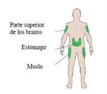 Human body diagram with green areas indicating the upper arms, the