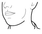 Disegno a linee nere che mostra il profilo di un volto umano con naso, bocca e orecchio e la linea del collo e delle spalle
