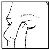 Disegno in bianco e nero che mostra un dito che preme delicatamente la zona tra l'occhio e il naso