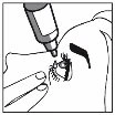 Black and white drawing showing an applicator touching the lower eyelid of an eye while a hand gently holds the skin