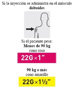 Diagramma medico con silhouette umana, freccia sul muscolo deltoide, indicazioni per iniezione con ago 22G x 1 pollice con cono rosa o 22G x 1,5 pollici con cono giallo