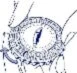 Diagramma medico che mostra la sezione trasversale di un occhio umano con la struttura della cornea e della pupilla centrale evidenziata