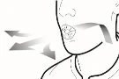Line drawing of a human face in profile with arrows indicating the movement of