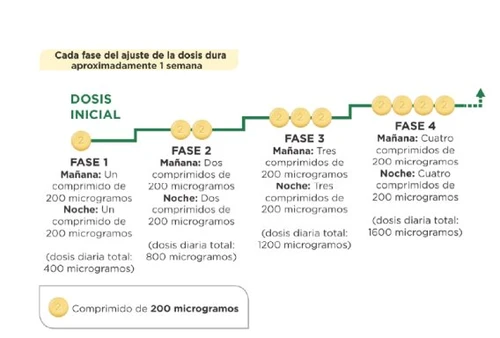 Schema grafico di un piano di dosaggio in quattro fasi con dosi giornaliere crescenti da 400 a 1600 microgrammi tra mattina e sera