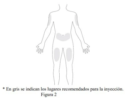 Schema del corpo umano con aree grigie che indicano i siti di iniezione raccomandati sulle braccia, sull