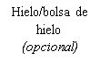 Black text on white background reading 'Hielo/bolsa de hielo (opcional)'
