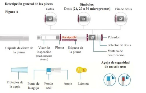 Medical diagram illustrating parts of a Yorvipath injection pen with labels for label, dosage, button, needle, protection, and end-of-dose indicator