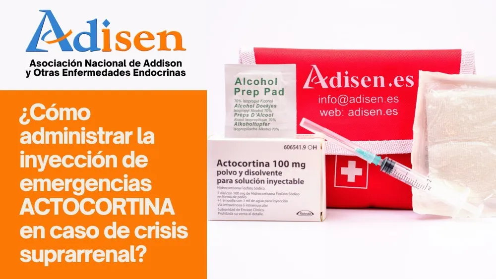 ACTOCORTINA 75 MG POLVO Y DISOLVENTE PARA SOLUCION INYECTABLE POLVO Y DISOLVENTE PARA SOLUCIÓN INYECTABLE