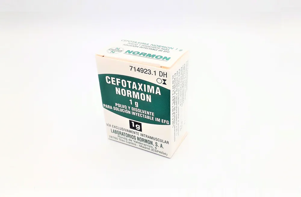 Cefotaxima Normon 1 g polvere e soluzione per soluzione iniettabile intramuscolare EFG polvere e solvente per soluzione per iniezione