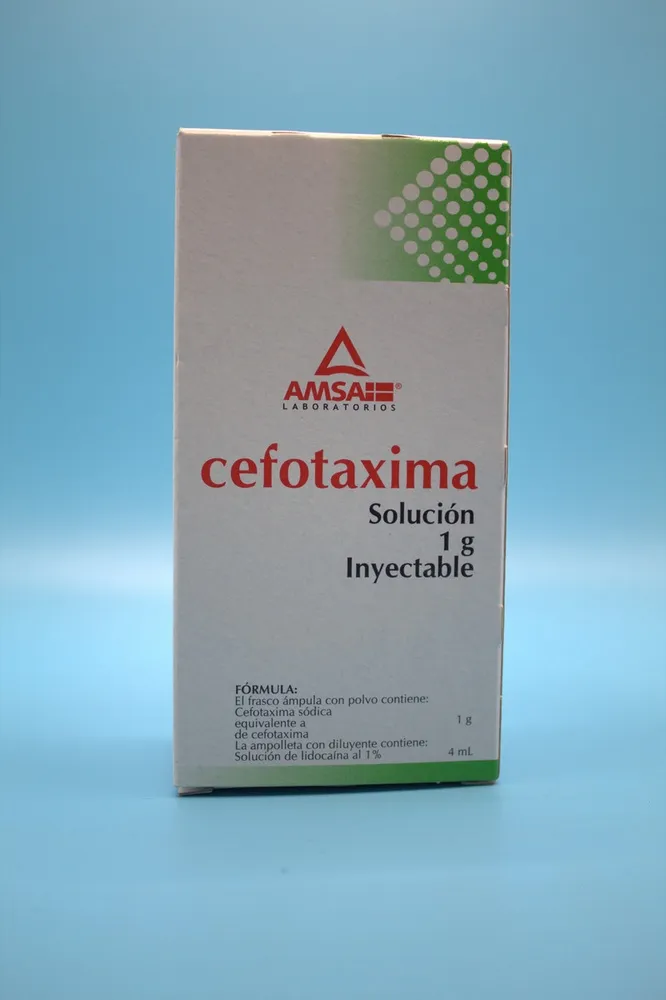 Cefotaxime Sala 1 g powder for injection solution EFG powder for solution for injection