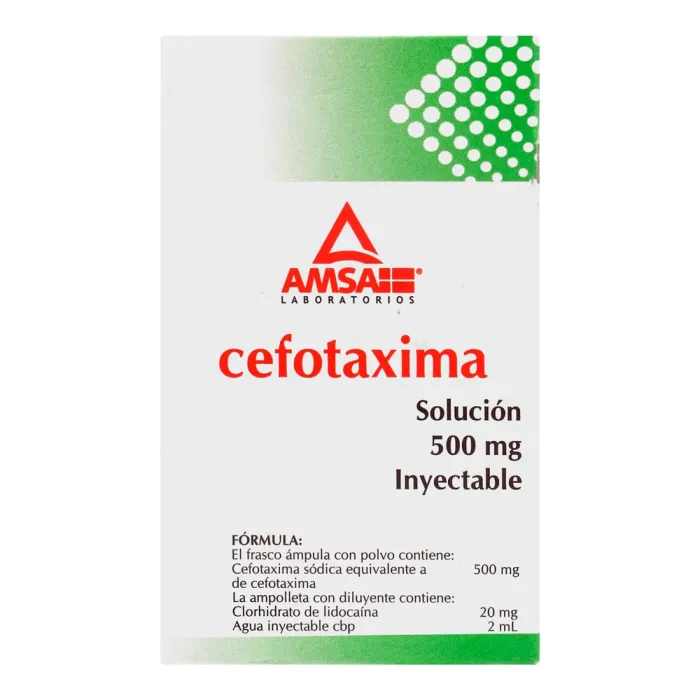 Cefotaxima Torlan 500 mg polvere e solvente per soluzione iniettabile IV/IM EFG polvere e solvente per soluzione per iniezione