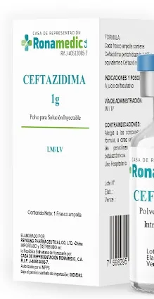 Ceftazidime LDP Torlan 1 g powder for solution for injection and for infusion EFG powder for injectable solution and for perfusion