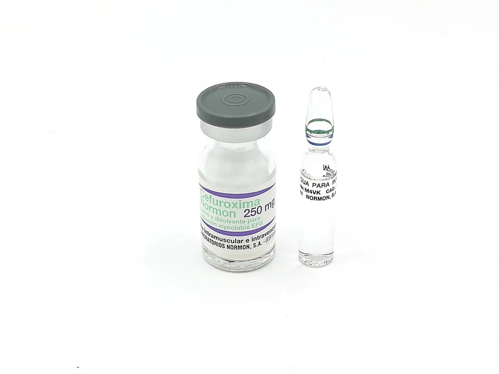 Cefuroxima Reig Jofre 250 mg polvere e solvente per soluzione iniettabile EFG polvere e solvente per soluzione per iniezione