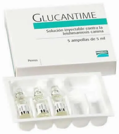 Glucantime 1500 mg/5 ml soluzione iniettabile soluzione per iniezione