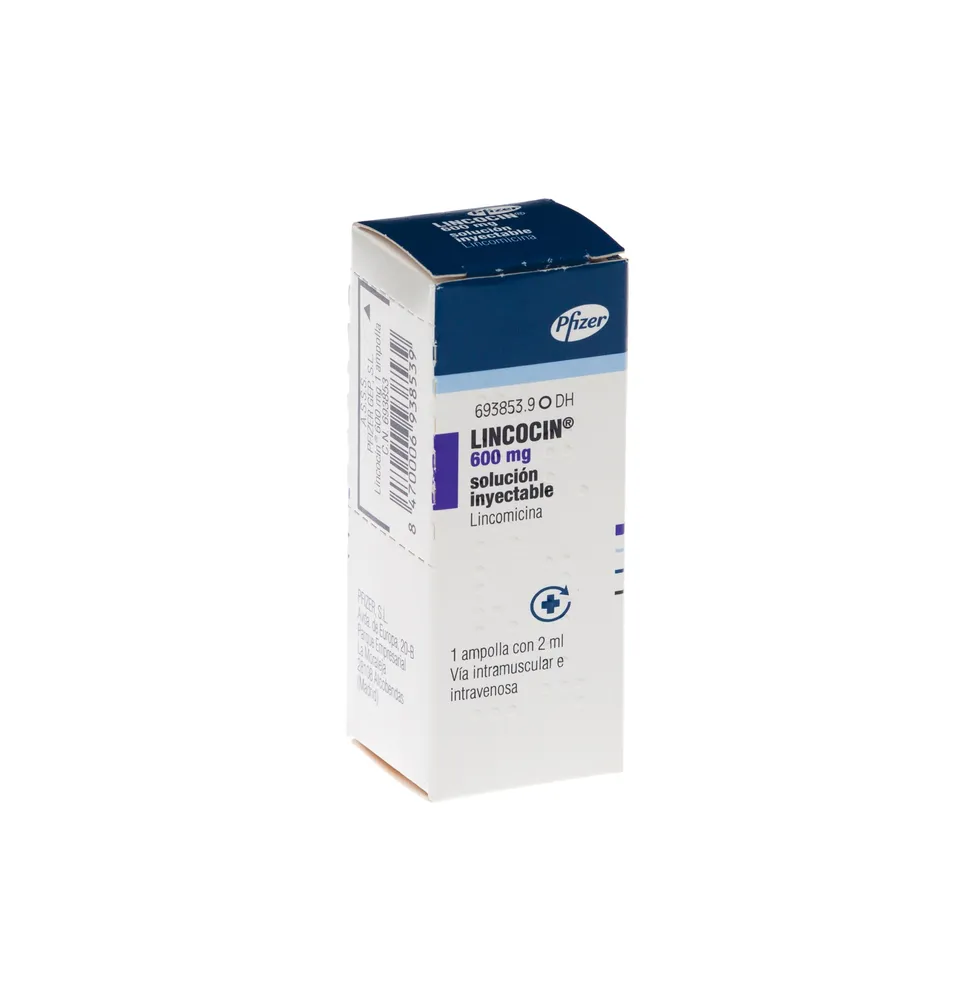 Lincocin 600 mg injection solution for injection