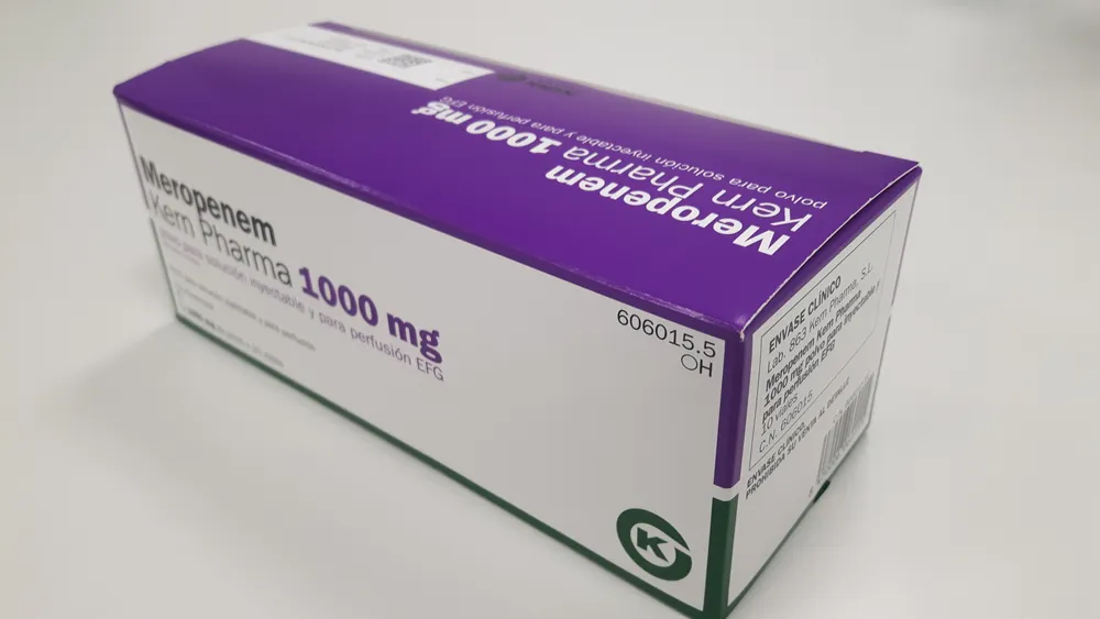 Meropenem Kern Pharma 1000 mg polvere per soluzione iniettabile e per infusione EFG polvere per soluzione iniettabile e per perfusione