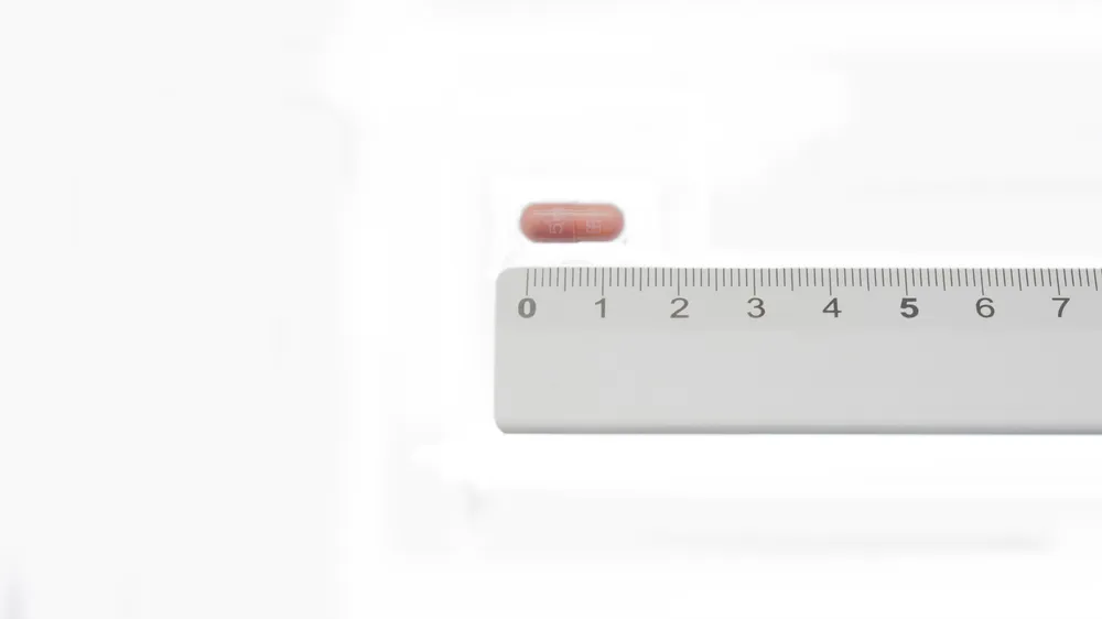 Prograf 5 mg hard capsules capsules, hard