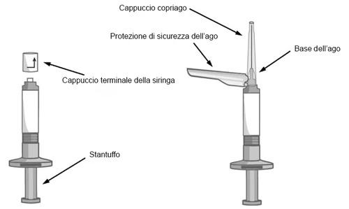Diagrama médico que muestra las partes de una jeringa: tapón terminal, émbolo, base del émbolo y cuerpo de la jeringa