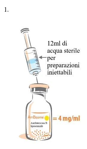 Illustration of a syringe with 12 ml of sterile water drawing liquid from a vial of AmBisome containing liposomal amphotericin B