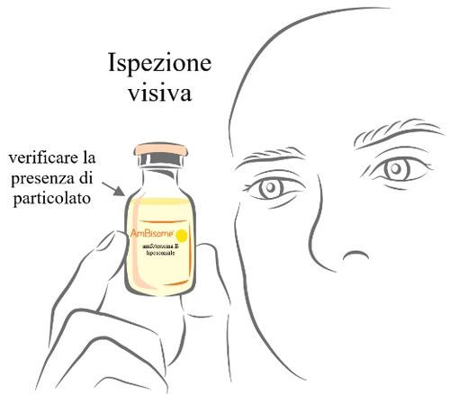 Drawing of a hand holding a vial of AmBisome