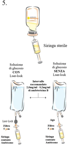 Medical diagram showing a vial, sterile syringe, glucose solution bags with and without Luer-lock, 5 µm filters, and syringes with AmBisome