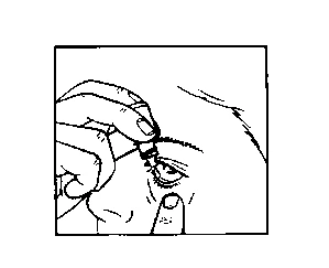 Dibujo en blanco y negro que muestra una mano sosteniendo un frasco para instilar gotas oculares en el