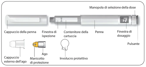 Diagram of an injection pen with cap, inspection window, cartridge holder, pen body, dose window, and button