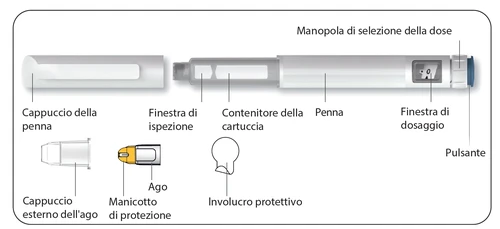 Diagram of an injection pen with cap, container, dose knob, button, needle, protective sleeve, and protective casing