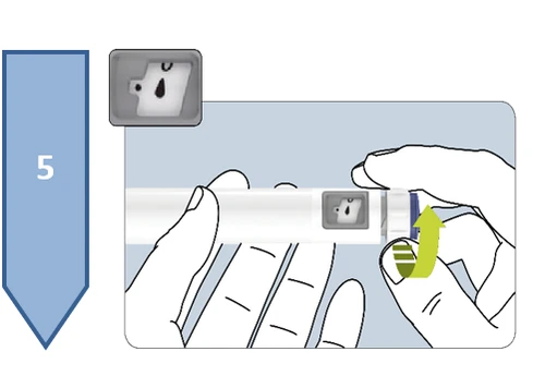 Two hands holding a white injection pen with a green arrow indicating rotational movement upward