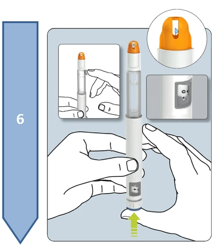 Technical drawing of an injection pen held between hands with magnified details of the orange tip and transparent viewing window