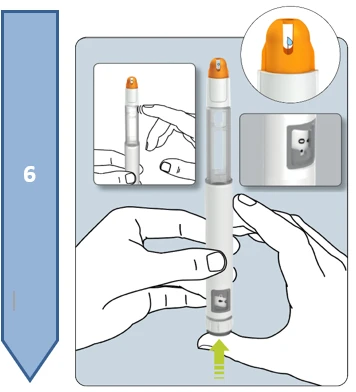 Diagram showing how to hold an injection pen with two hands and press the button at the base with the thumb