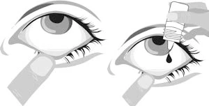 Dibujo en blanco y negro que muestra la