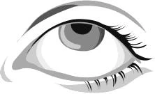 Stylized black and white drawing of a human eye with long, defined eyelashes and a dark pupil on a white background